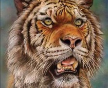 personale di G. ALBERIO  “RESPIRO ANIMALE”