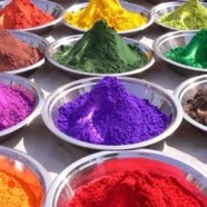 SCOPERTA DEI PIGMENTI E DEI MEDIUM   MAESTRO PINA GIGI