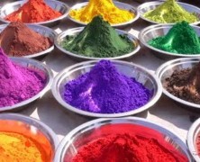 SCOPERTA DEI PIGMENTI E DEI MEDIUM   MAESTRO PINA GIGI