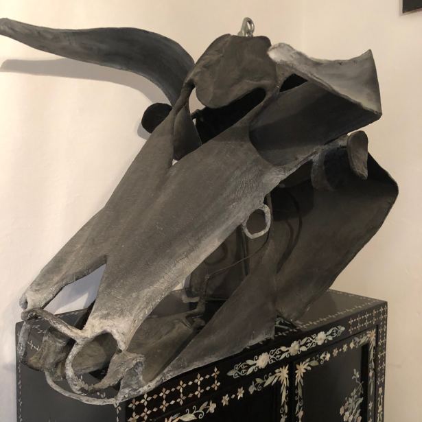toro